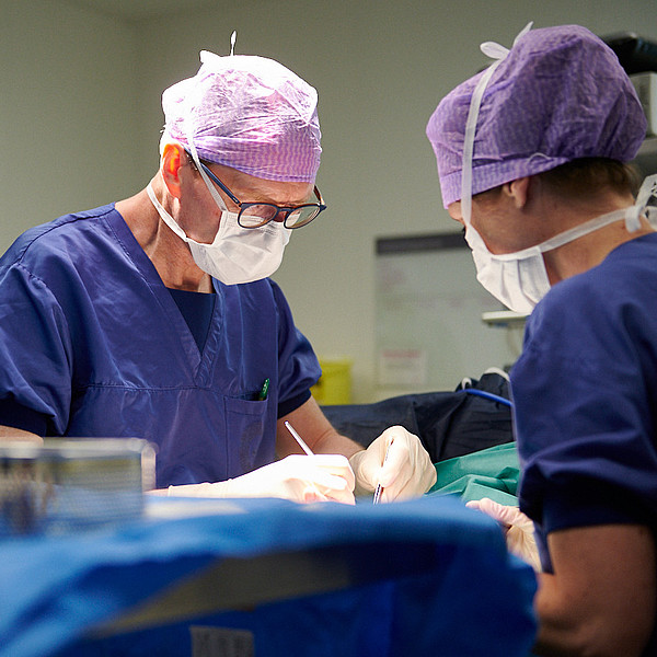 Dankzij onze specialisten en professionele organisatie, kunt u rekenen op de best mogelijke zorg.